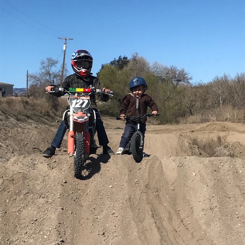 Meet your Posher, Remy - Picture 7 of 8